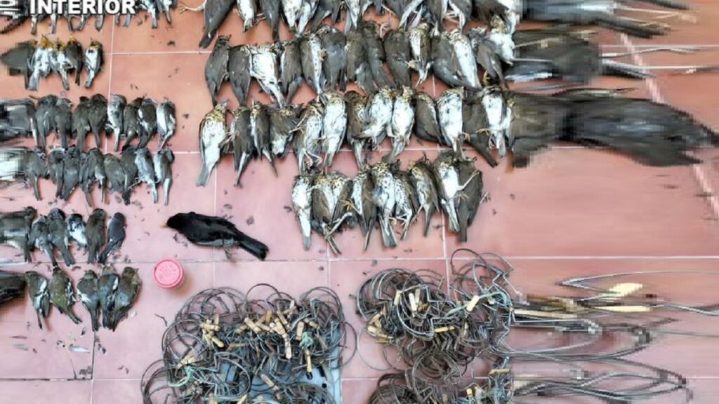 https://revistajaraysedal.es/wp-content/uploads/2021/08/pesca-galicia-puerto.jpg