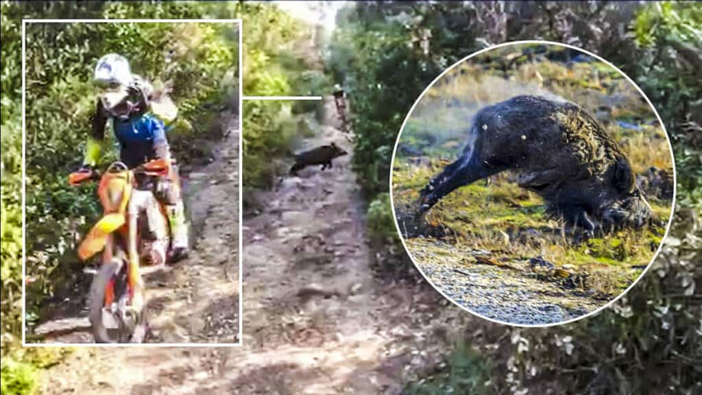 https://revistajaraysedal.es/wp-content/uploads/2021/08/pesca-galicia-puerto.jpg