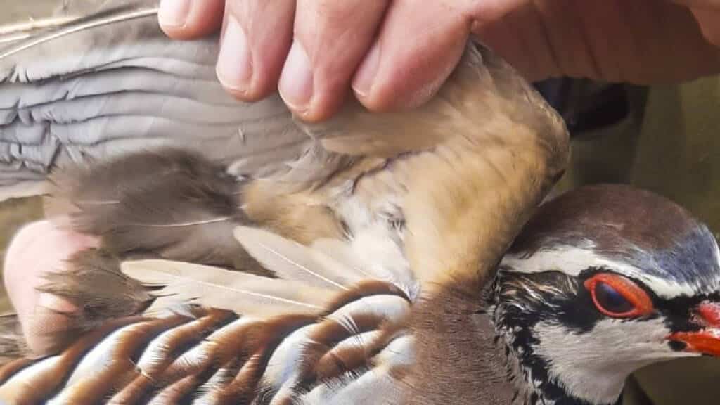 https://revistajaraysedal.es/wp-content/uploads/2021/08/pesca-galicia-puerto.jpg