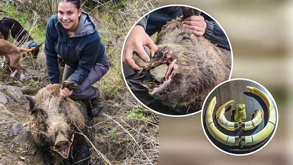 https://revistajaraysedal.es/wp-content/uploads/2021/08/pesca-galicia-puerto.jpg