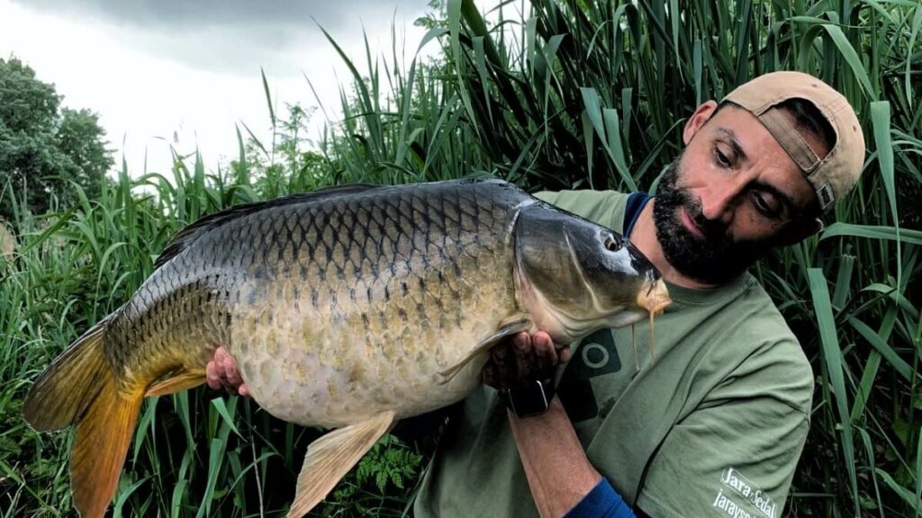 https://revistajaraysedal.es/wp-content/uploads/2021/08/pesca-galicia-puerto.jpg