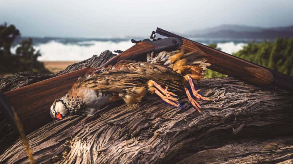 https://revistajaraysedal.es/wp-content/uploads/2021/08/pesca-galicia-puerto.jpg