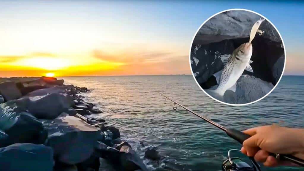 https://revistajaraysedal.es/wp-content/uploads/2021/08/pesca-galicia-puerto.jpg