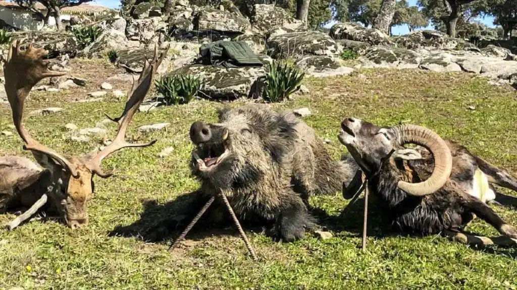 https://revistajaraysedal.es/wp-content/uploads/2021/08/pesca-galicia-puerto.jpg