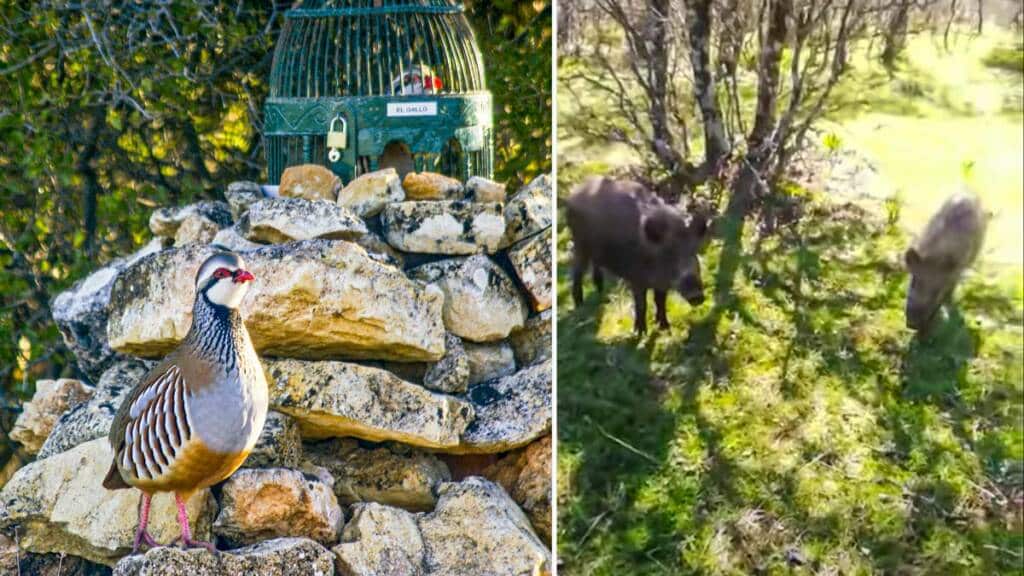 https://revistajaraysedal.es/wp-content/uploads/2021/08/pesca-galicia-puerto.jpg