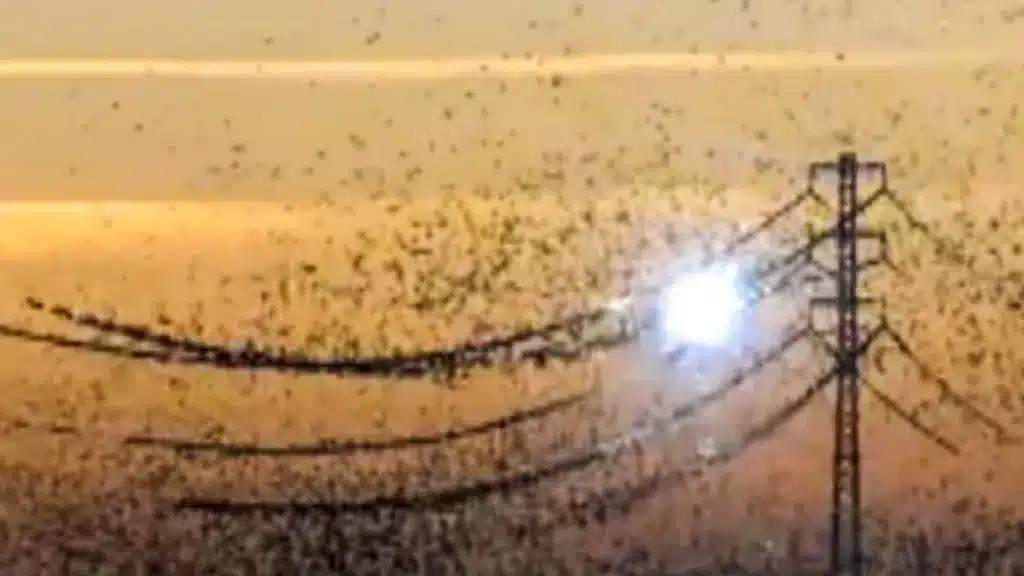 https://revistajaraysedal.es/wp-content/uploads/2021/08/pesca-galicia-puerto.jpg