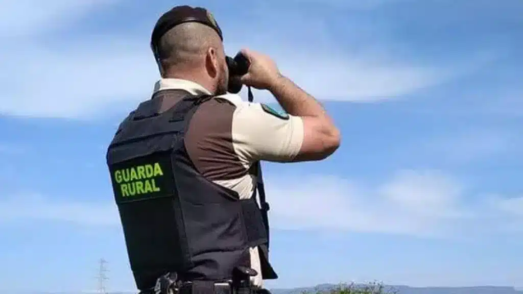 https://revistajaraysedal.es/wp-content/uploads/2021/08/pesca-galicia-puerto.jpg