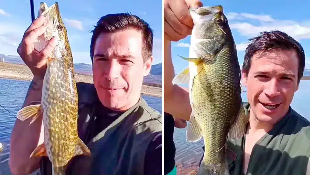 https://revistajaraysedal.es/wp-content/uploads/2021/08/pesca-galicia-puerto.jpg