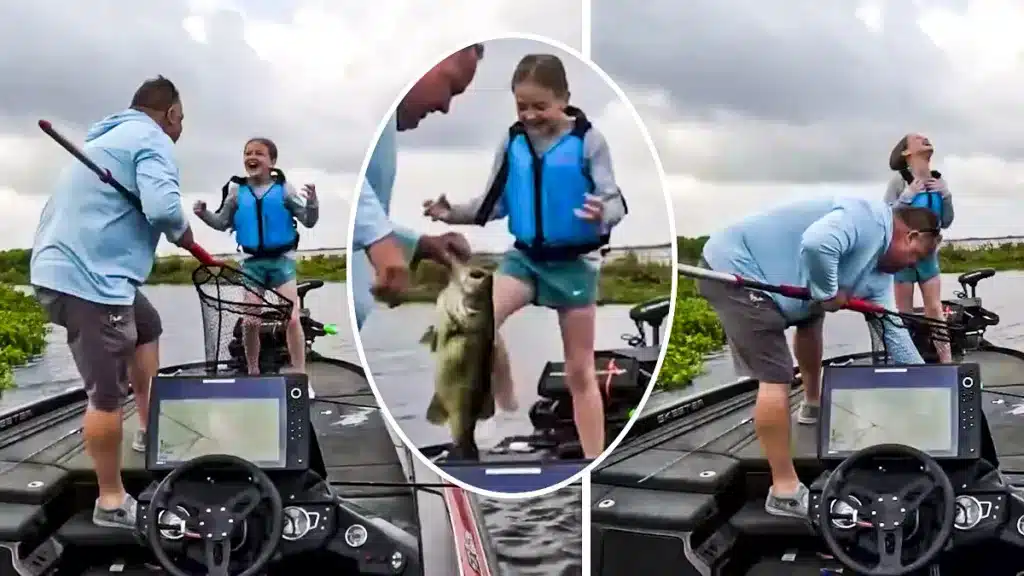 https://revistajaraysedal.es/wp-content/uploads/2021/08/pesca-galicia-puerto.jpg