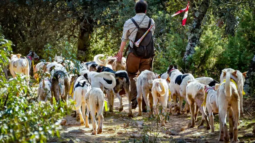 https://revistajaraysedal.es/wp-content/uploads/2021/08/pesca-galicia-puerto.jpg