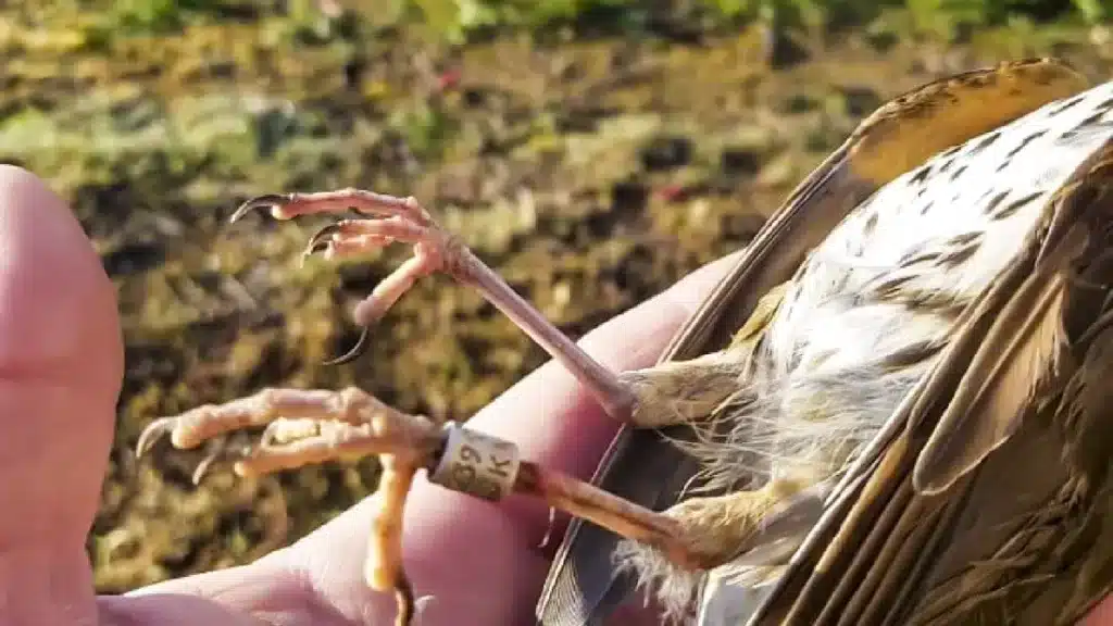 https://revistajaraysedal.es/wp-content/uploads/2021/08/pesca-galicia-puerto.jpg