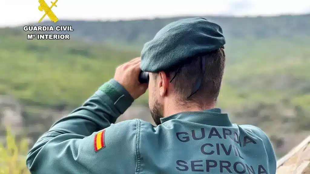 https://revistajaraysedal.es/wp-content/uploads/2021/08/pesca-galicia-puerto.jpg