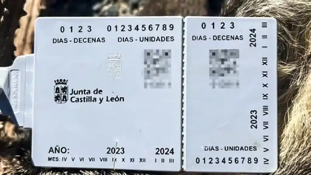 https://revistajaraysedal.es/wp-content/uploads/2021/08/pesca-galicia-puerto.jpg
