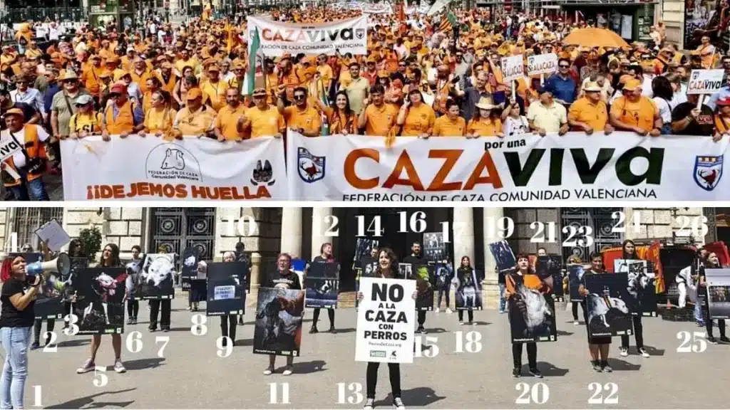 https://revistajaraysedal.es/wp-content/uploads/2021/08/pesca-galicia-puerto.jpg
