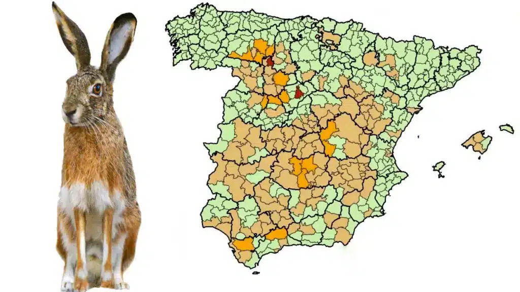 https://revistajaraysedal.es/wp-content/uploads/2021/08/pesca-galicia-puerto.jpg