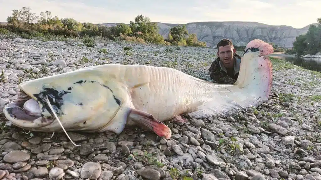 https://revistajaraysedal.es/wp-content/uploads/2021/08/pesca-galicia-puerto.jpg