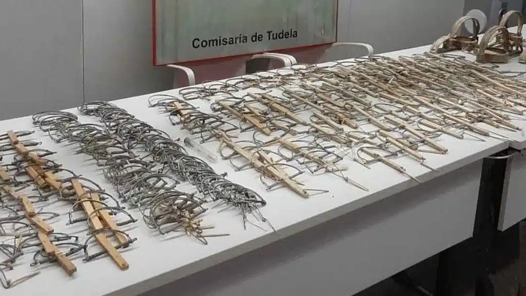 https://revistajaraysedal.es/wp-content/uploads/2021/08/pesca-galicia-puerto.jpg