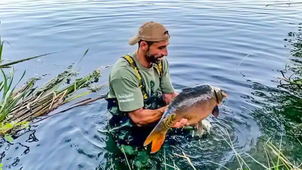 https://revistajaraysedal.es/wp-content/uploads/2021/08/pesca-galicia-puerto.jpg