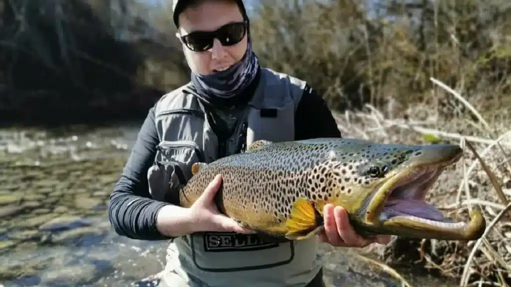 https://revistajaraysedal.es/wp-content/uploads/2021/08/pesca-galicia-puerto.jpg