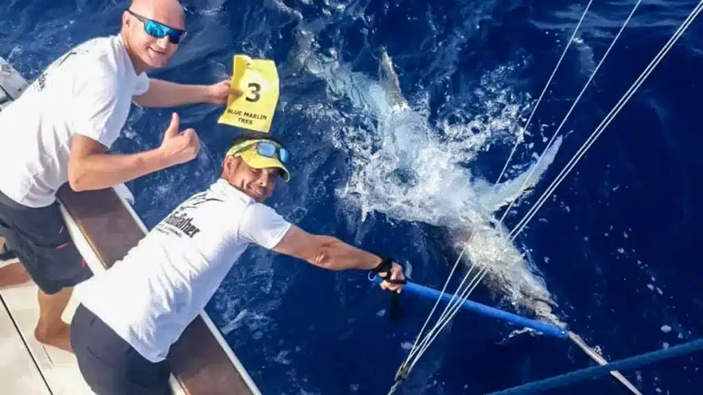 https://revistajaraysedal.es/wp-content/uploads/2021/08/pesca-galicia-puerto.jpg