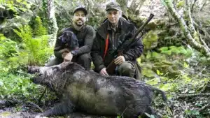 Un influencer caza un gran jabalí que le entró al puesto cuando grababa un vídeo en directo