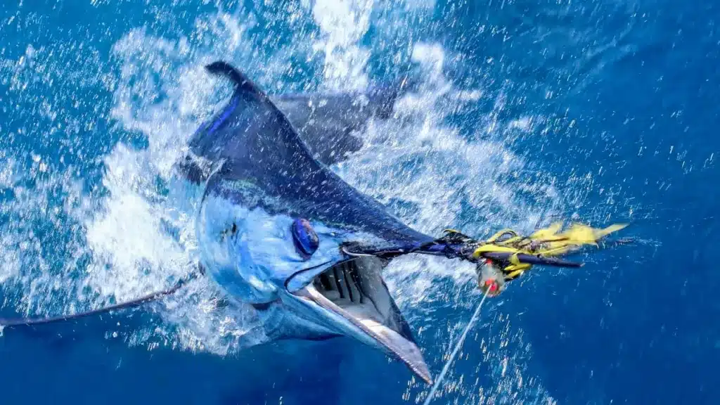 https://revistajaraysedal.es/wp-content/uploads/2021/08/pesca-galicia-puerto.jpg