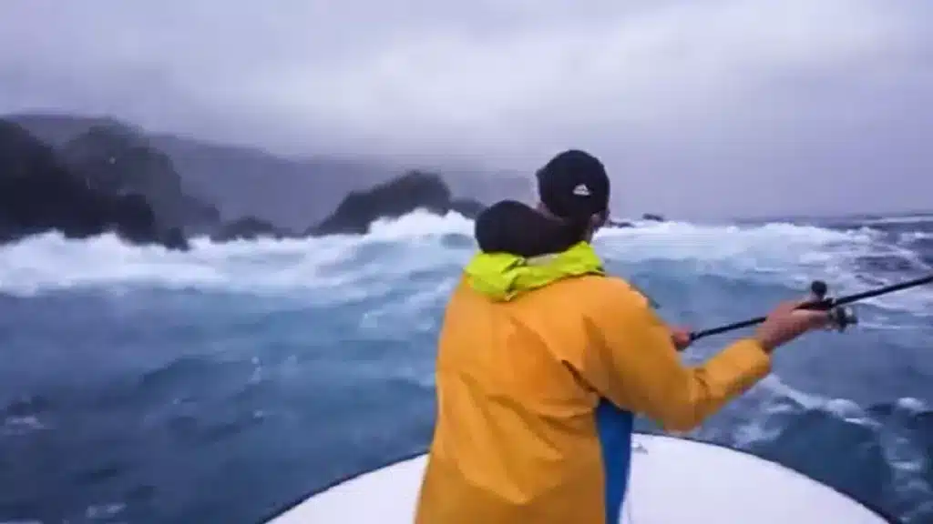 https://revistajaraysedal.es/wp-content/uploads/2021/08/pesca-galicia-puerto.jpg