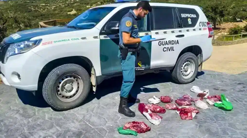 https://revistajaraysedal.es/wp-content/uploads/2021/08/pesca-galicia-puerto.jpg