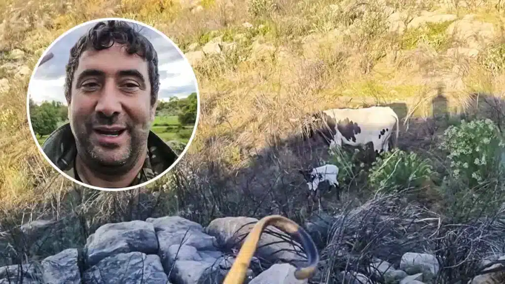 https://revistajaraysedal.es/wp-content/uploads/2021/08/pesca-galicia-puerto.jpg
