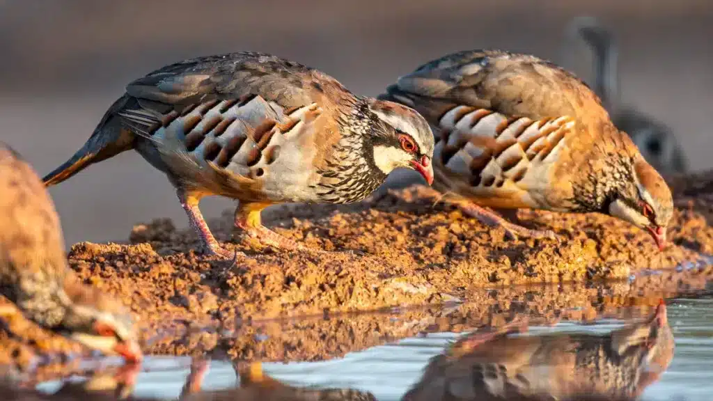 https://revistajaraysedal.es/wp-content/uploads/2021/08/pesca-galicia-puerto.jpg