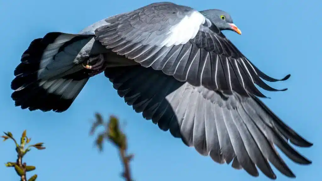 https://revistajaraysedal.es/wp-content/uploads/2021/08/pesca-galicia-puerto.jpg