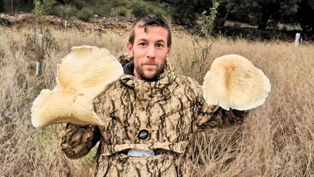 https://revistajaraysedal.es/wp-content/uploads/2021/08/pesca-galicia-puerto.jpg