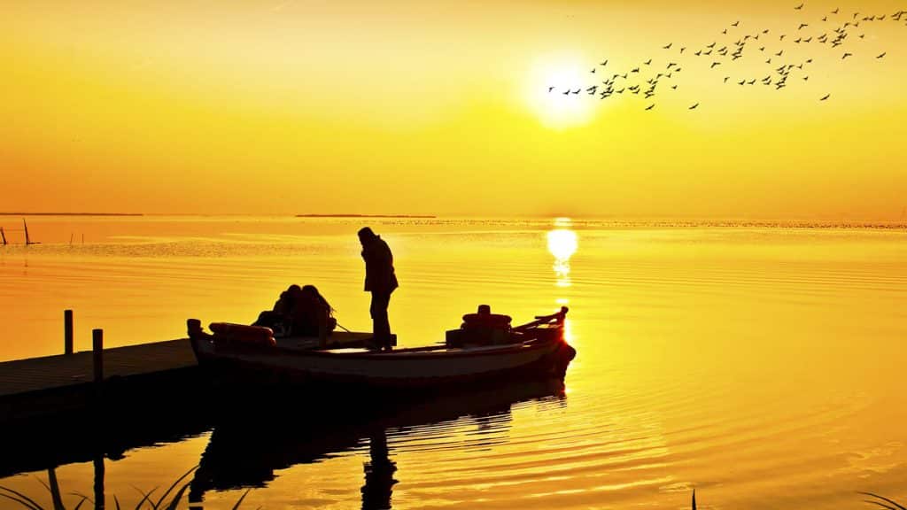 https://revistajaraysedal.es/wp-content/uploads/2021/08/pesca-galicia-puerto.jpg