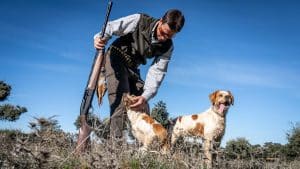 El Gobierno retoma la polémica creación de un registro nacional de perros, gatos y hurones