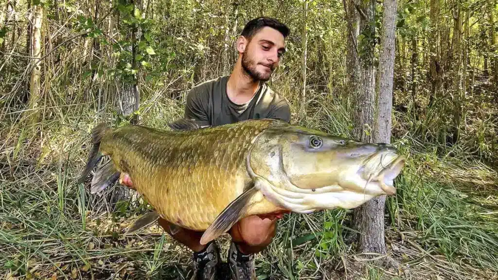 barbo ruidera