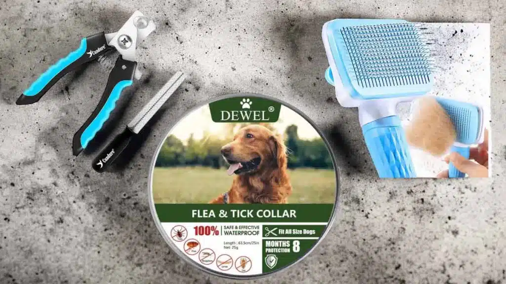 4-PRODUCTOS-PERRO-AMAZON