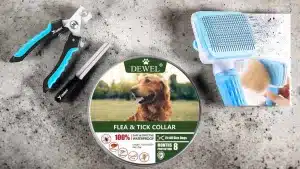 4-PRODUCTOS-PERRO-AMAZON
