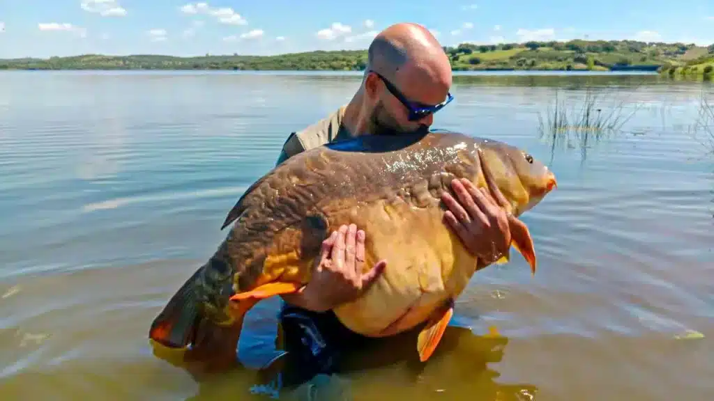 El pescador con la enorme carpa. © R.D.L.