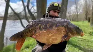 El poder de los wafters