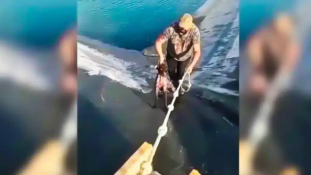 El cazador sacando a uno de los perros del embalse. © I.H.