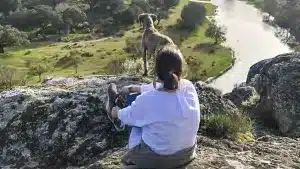 Momentos de contemplación: tres lances de caza en una espera