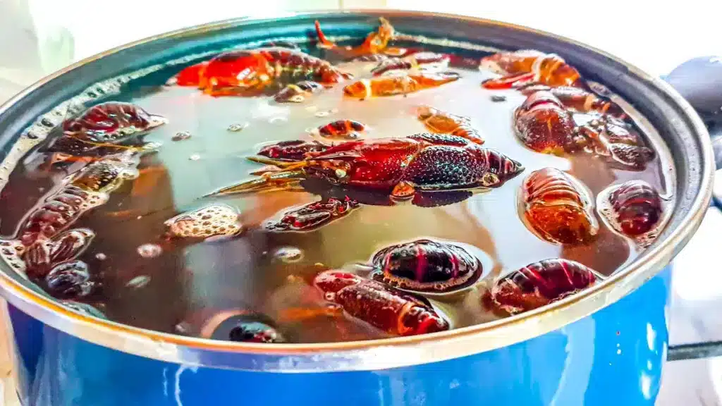 Cangrejos de río en una cazuela.
