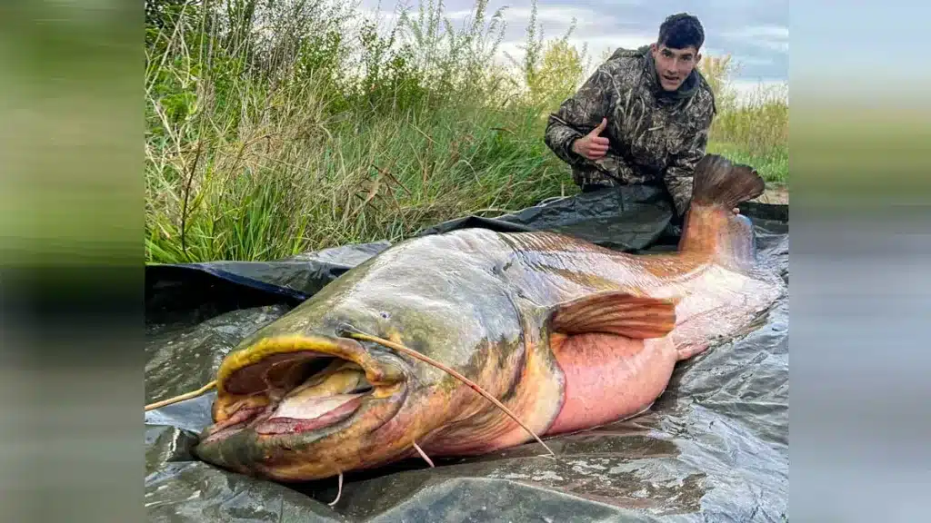 El joven pescador junto al enorme siluro. © D.P.