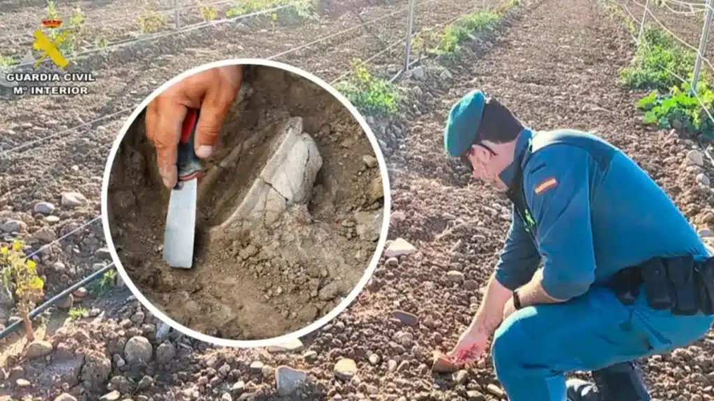 agricultor cárcel arar tierra daño yacimiento arqueológico