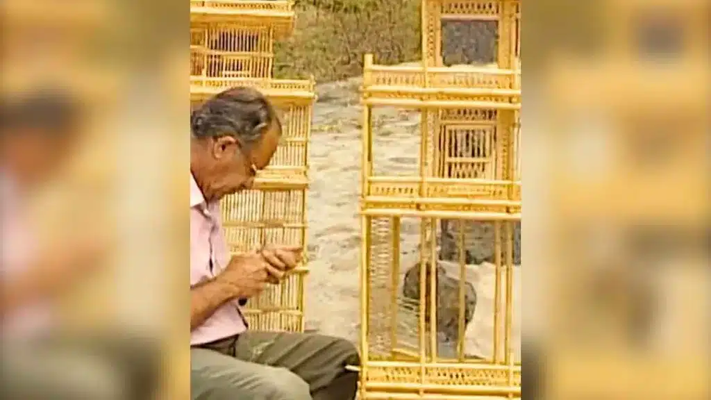Jaula artesanal para pájaros de caña.