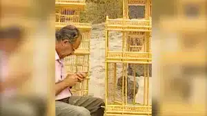 Jaula artesanal para pájaros de caña.
