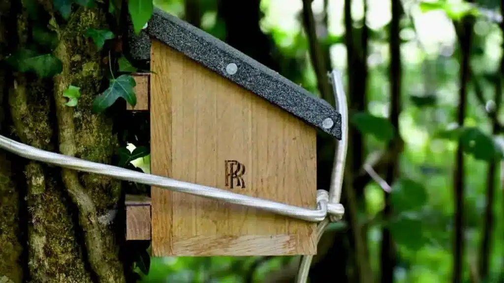 Rolls-Royce construye cajas nido para el lirón enano.