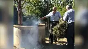 Un antiguo documental muestra cómo trabajaban los espigoleros.