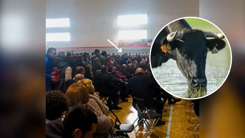 Un ganadero da un repaso en público a representantes de la administración en una reunión sobre la tuberculosis que obliga a sacrificar a sus animales.
