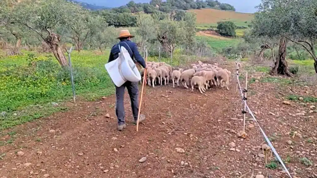 La genial respuesta de un pastor ante las multas a agricultores que no cuenten con un retrete portátil.
